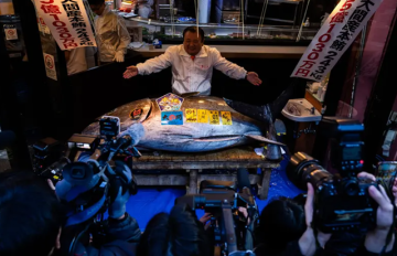 سمكة تونة تباع بـ3.2 مليون دولار