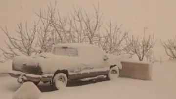 بالفيديو: عرسال بالأبيض بالفيديو: عرسال بالأبيض