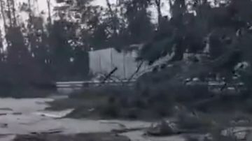 بالفيديو: إعصار يقطع الكهرباء عن 300 ألف منزل! بالفيديو: إعصار يقطع الكهرباء عن 300 ألف منزل!