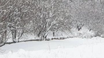 بعلبك ارتدت الأبيض