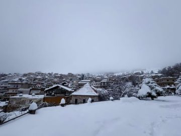 كنز لبنان الأبيض في خطر