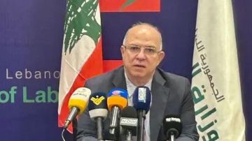 تحذير من مبادرات لتوظيف لبنانيين في الخارج من دون أطر قانونية