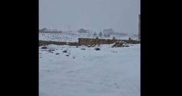 النشرة: سماكة الثلوج في المناطق البقاعية فوق 1200 متر وصلت إلى 15 سنتيمرا النشرة: سماكة الثلوج في المناطق البقاعية فوق 1200 متر وصلت إلى 15 سنتيمرا