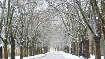 الثلوج غمرت بلدات قضاء بعلبك الثلوج غمرت بلدات قضاء بعلبك