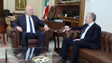 باسيل من بعبدا: حصرية السلاح أساس لبناء الدولة باسيل من بعبدا: حصرية السلاح أساس لبناء الدولة