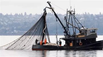 مصير مجهول لهؤلاء!