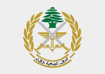 الجيش: تفجير ذخائر غير منفجرة في بلدتي شويا ورامية