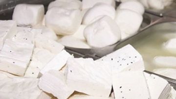 منتجات شبيهة بالألبان تصنع بالزيوت النباتية