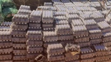 أدوية مهربة ومنتهية الصلاحية في مستوصف غير شرعي! أدوية مهربة ومنتهية الصلاحية في مستوصف غير شرعي!