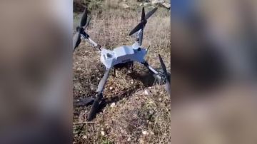 بالفيديو: عثر على مسيرة قرب منزله!