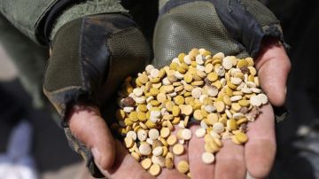 بالتعاون مع السعودية... عملية أمنية لضبط معمل كبتاغون!