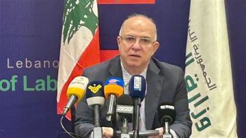 حيدر يحذر من تحركات توظيف لبنانيين في الخارج من دون أطر قانونية