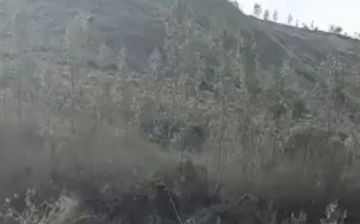 مقطع مصور يظهر عملية تهريب للبشر بطريقة غير شرعية مقطع مصور يظهر عملية تهريب للبشر بطريقة غير شرعية