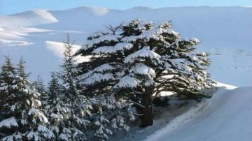 لبنان يرتدي الثوب الأبيض.. وينتظر العواصف