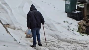 الثلوج غطت قرى الشوف والعاصفة ادت الى اضرار في المزروعات والكهرباء الثلوج غطت قرى الشوف والعاصفة ادت الى اضرار في المزروعات والكهرباء