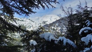 رحلة مشي تنقلب خطرا: شاب يسقط ويختفي في حرش إهدن رحلة مشي تنقلب خطرا: شاب يسقط ويختفي في حرش إهدن