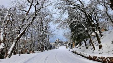 بسبب تراكم الثلوج... إليكم الطرقات الجبلية المقطوعة