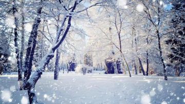 العاصفة في طريقها إلينا: أمطار وثلوج وبرد... وتحذير!