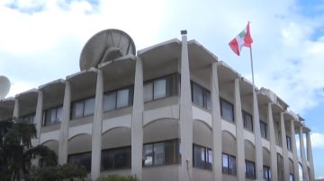 الحياة تعود إلى مبنى تلفزيون لبنان