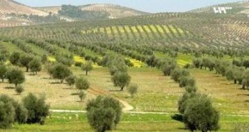 إسرائيل ترش أراض سورية بمادة مجهولة