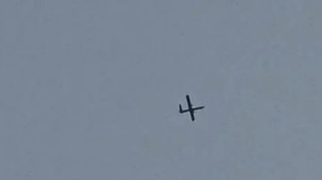 بالفيديو: مسيرتان فوق النبطية بالفيديو: مسيرتان فوق النبطية