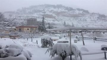 صقيع وجليد يسبقان منخفضا جويا.. مصلحة الأرصاد تحذر المزارعين والسائقين!