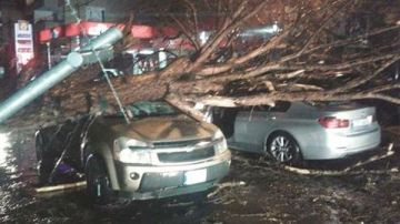 العاصفة تشتد... تحذير مهم من قوى الأمن!