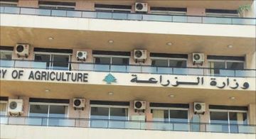 وزارة الزراعة: الضبع المخطط حيوان بري محمي ولا يشكل خطرا على السلامة العامة