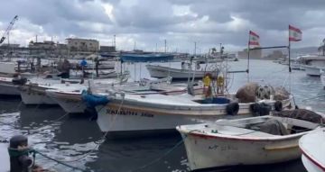 توقف حركتي الملاحة والصيد البحري في ميناء صيدا وظهور شاروق بحري قبالة شاطئ المدينة