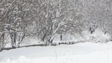 الثلوج تغمر بلدات قضاء بعلبك وتعزل بعضها في ظل انقطاع التيار الكهربائي