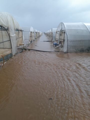 اللقاء الوطني للهيئات الزراعية في لبنان يتفقد أضرار العاصفة الثلجية... مناشدة المعنيين في الدولة بتحمل مسؤولياتهم