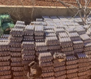 ضبط أدوية مهربة ومنتهية الصلاحية داخل مستوصف غير شرعي في في بلدة عدوس بالبقاع