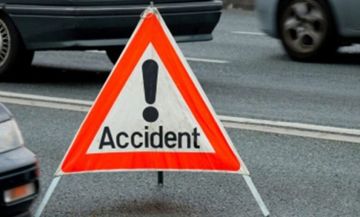 بالفيديو كلب يتسبب بحادث سير مروع