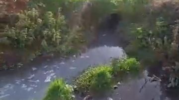 بالفيديو: مياه آسنة في الليطاني بالفيديو: مياه آسنة في الليطاني