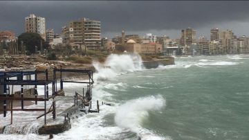 أضرار بالمزروعات والممتلكات في منطقة صور جراء الرياح أضرار بالمزروعات والممتلكات في منطقة صور جراء الرياح