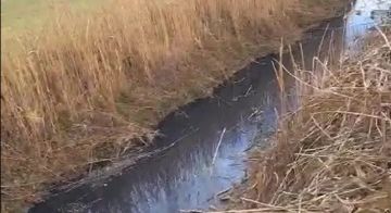 بالفيديو: أضرار خطرة على الصحة تدفق مياه صرف صحي في نهر الليطاني بالفيديو: أضرار خطرة على الصحة تدفق مياه صرف صحي في نهر الليطاني