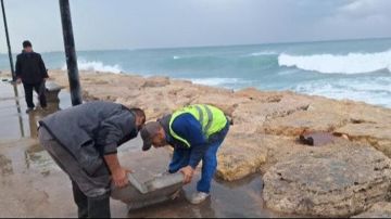 بلدية صيدا أزالت أضرار العاصفة في مدينة رفيق الحريري الرياضية