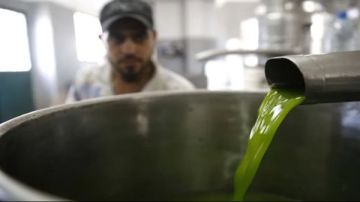 حتى زيت الزيتون مغشوش... كونوا حذرين!