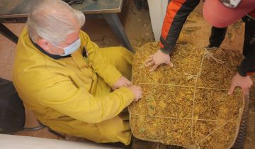  الريجي : بدء تسلم محاصيل تبغ البقاع