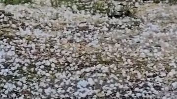 بالفيديو: أمطار غزيرة وحبات برد كبيرة!