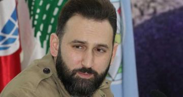 تيمور جنبلاط بحث مع وفود بلدية وأهلية في قضايا إنمائية وخدماتية