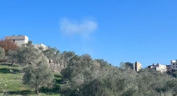 غارة استهدفت رابيد في بلدة الخيام (فيديو)