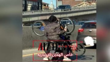 خاص الهديل: الطرق أصبحت ساحة فوضى.. فهل من رادع؟