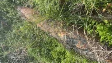 العثور على صاروخ غير منفجر من مخلفات الحرب في بلدة بيوت السياد جنوب صور العثور على صاروخ غير منفجر من مخلفات الحرب في بلدة بيوت السياد جنوب صور