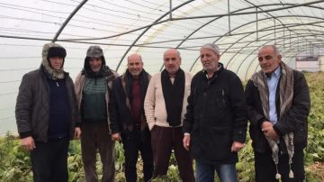 نقابة مزارعي البيوت البلاستيكية ناشدت المعنيين تعويض المتضررين نقابة مزارعي البيوت البلاستيكية ناشدت المعنيين تعويض المتضررين