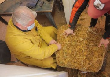 الريجي أعلنت البدء بتسلم محاصيل التبغ في البقاع