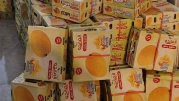 بالصور: مانغا وعدسات مهربة!