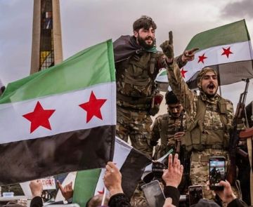 مصادر حكومية لموقع تلفزيون سوريا : الدولة اللبنانية بدأت التحقق مما ينشر عن وجود فلول النظام السوري السابق في لبنان