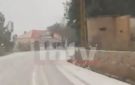 بالفيديو: الثلوج تغطي حمانا