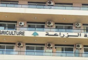وزارة الزراعة فتحت باب اعتماد شركات الرقابة على المنتجات الزراعية المعدة للتصدير وزارة الزراعة فتحت باب اعتماد شركات الرقابة على المنتجات الزراعية المعدة للتصدير